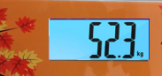 03.png